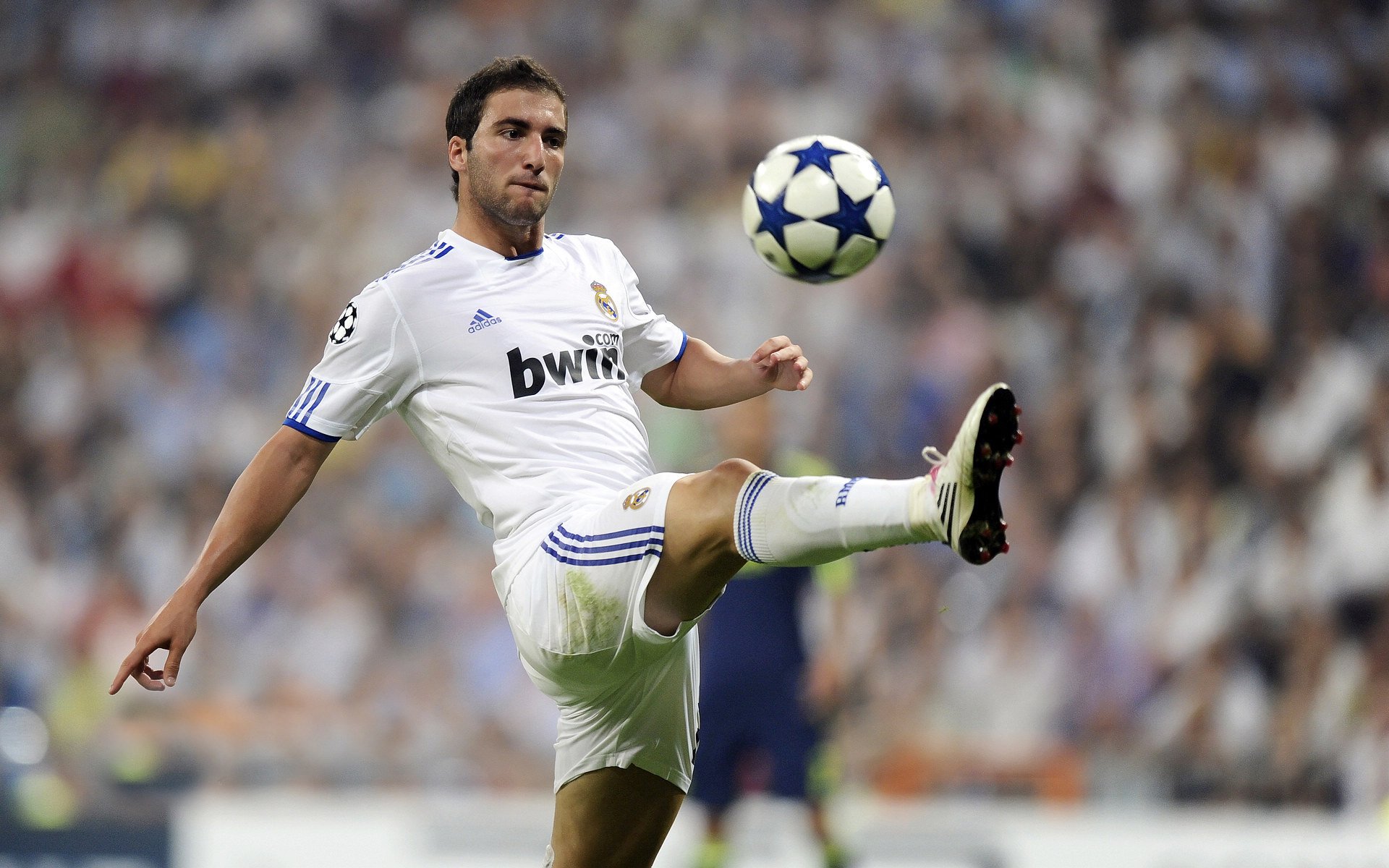 安提瓜青训营培养出多名未来之星,安提瓜是哪国